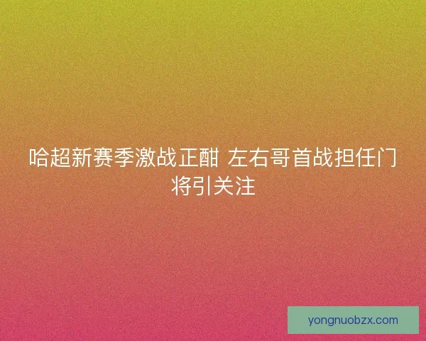 哈超新赛季激战正酣 左右哥首战担任门将引关注