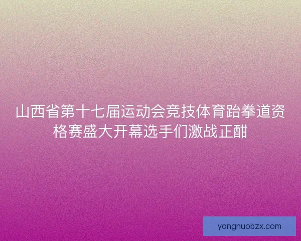 山西省第十七届运动会竞技体育跆拳道资格赛盛大开幕选手们激战正酣 山西省第十七届运动会竞技体育跆拳道资格赛盛大开幕选手们激战正酣